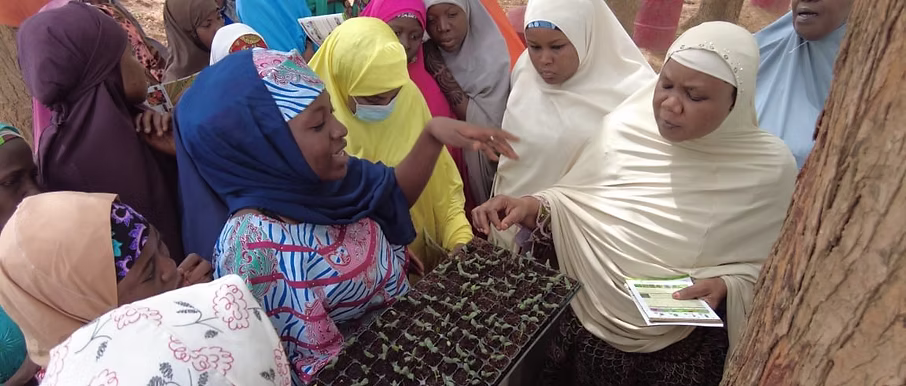 AGADO community programme and outreach
